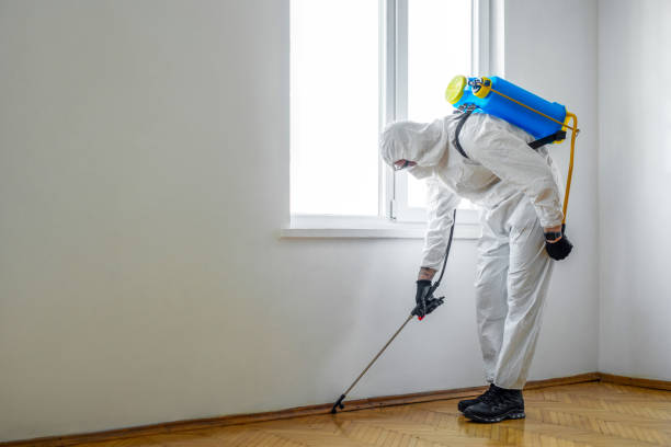 Best Pest Control Treatment  in Dimmitt, TX