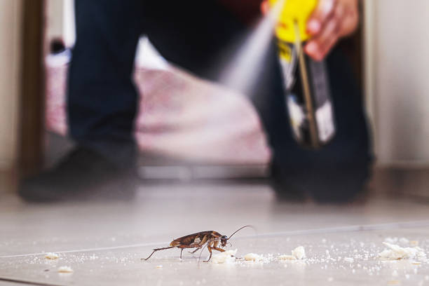 Pest Control Cost in Dimmitt, TX