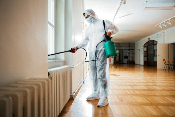 Best Best Pest Control Companies  in Dimmitt, TX